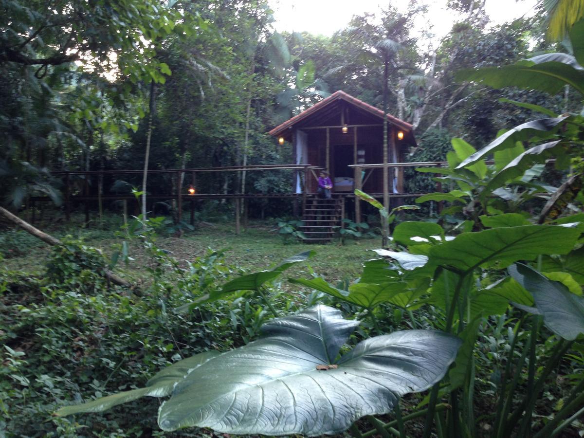 Glamping Mangarito Hotell Iporanga Exteriör bild